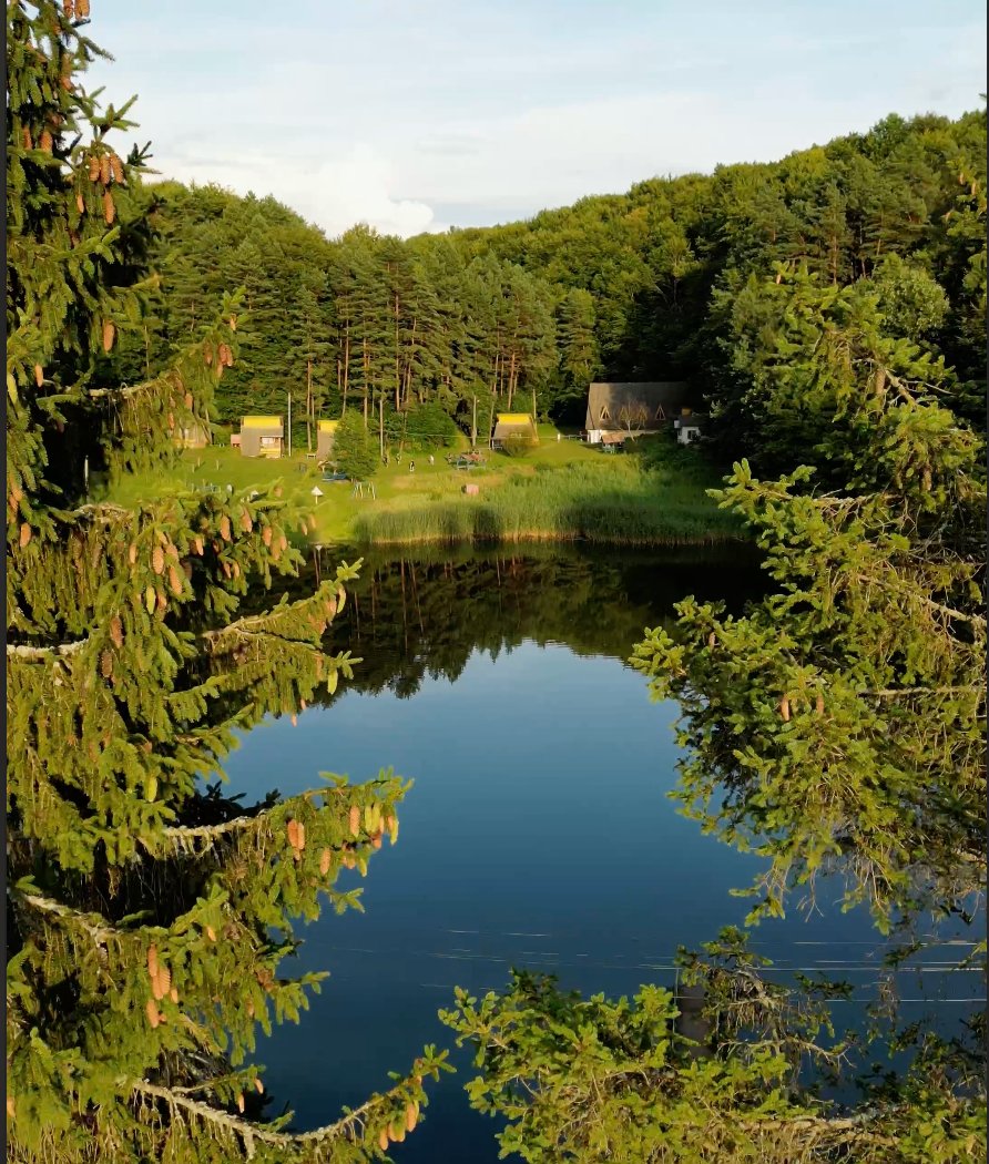 Forest lake with cabins reflected in the water
